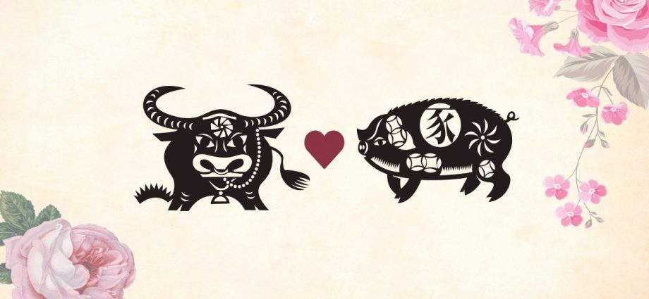 Uxi og svín – samhæfni við kínverska Zodiac