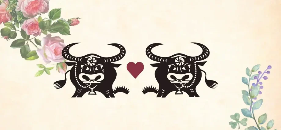 Ox woman and Ox man: compatibility