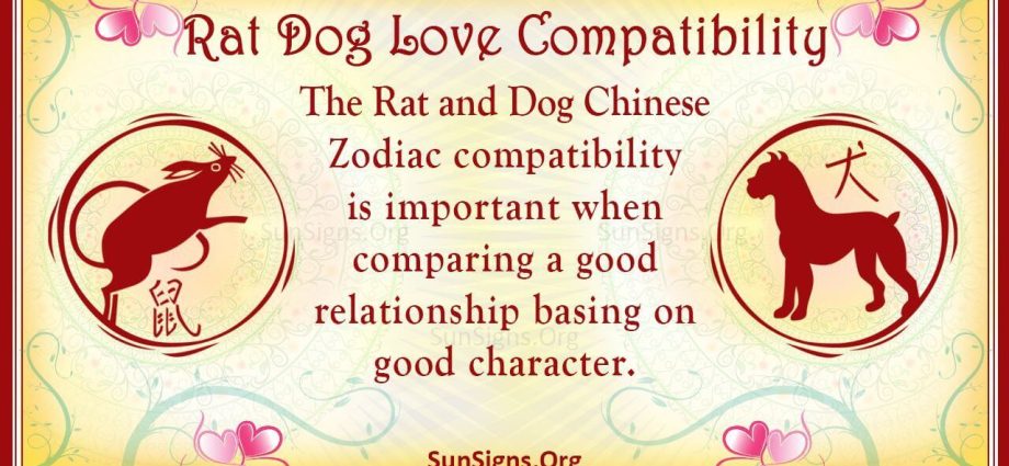 Rat et canis Chinese zodiaci compatibilitas