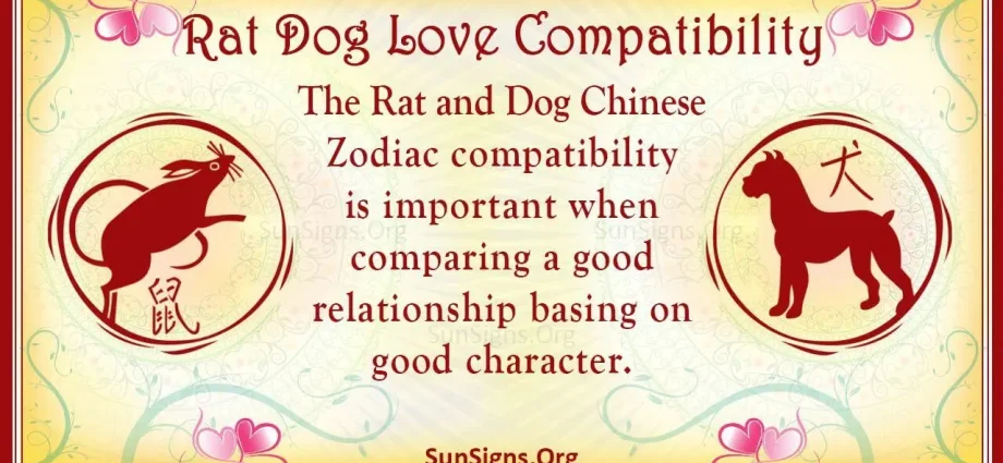 rat-and-dog-chinese-zodiac-compatibility-healthy-food-near-me