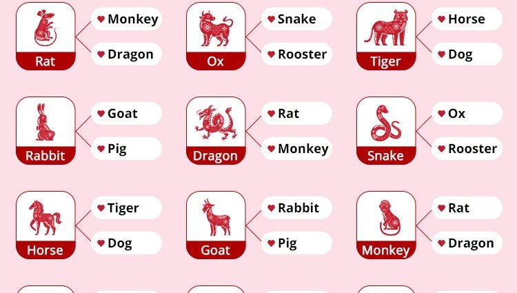 Rotte og hane – kompatibilitet med kinesisk stjernetegn