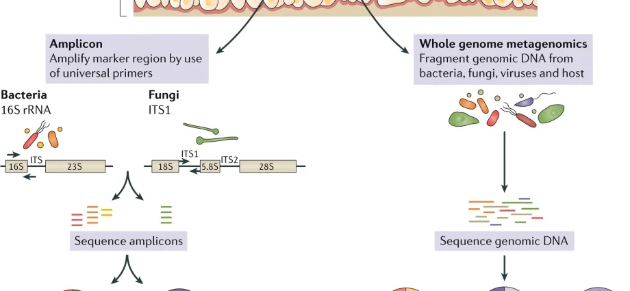 Skin microbiome