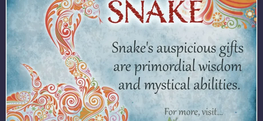 Snake man: characteristic according to the Chinese horoscope