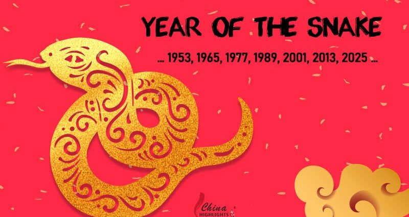 The Year of the Snake