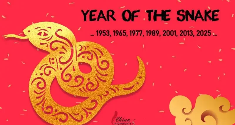 The Year of the Snake