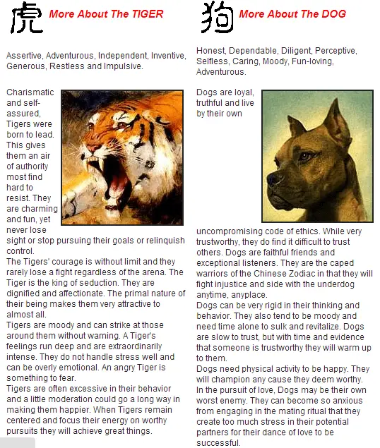 Tiger and Dog &#8211; Chinese Zodiac Compatibility