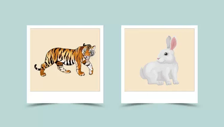 Tiger and Rabbit Chinese Zodiac Compatibility