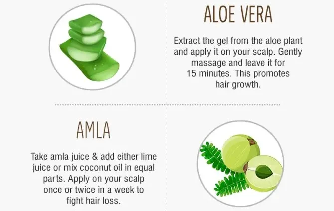 To be or not to be: folk remedies for hair loss