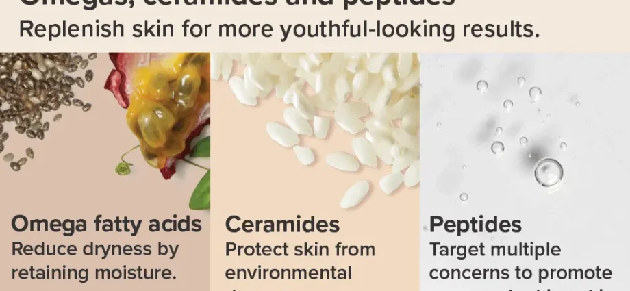 What are ceramides and why are they needed?