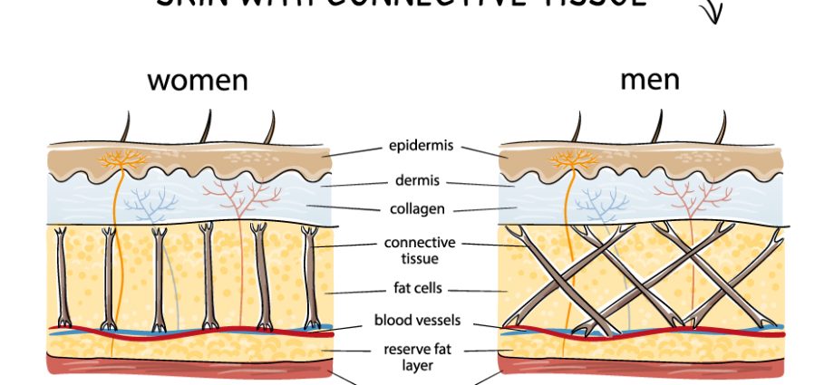 What is the difference between male and female skin