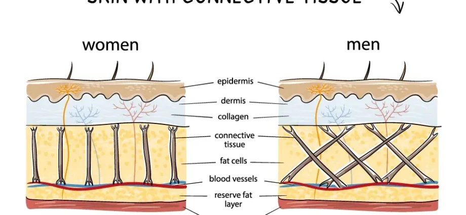 What is the difference between male and female skin