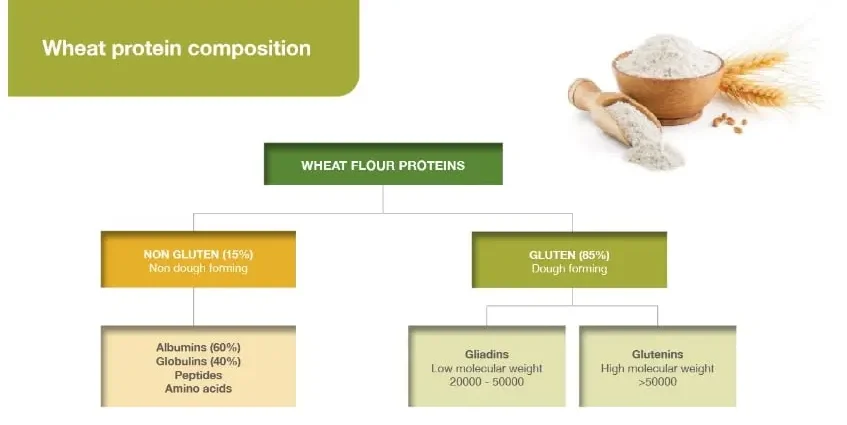 Wheat proteins