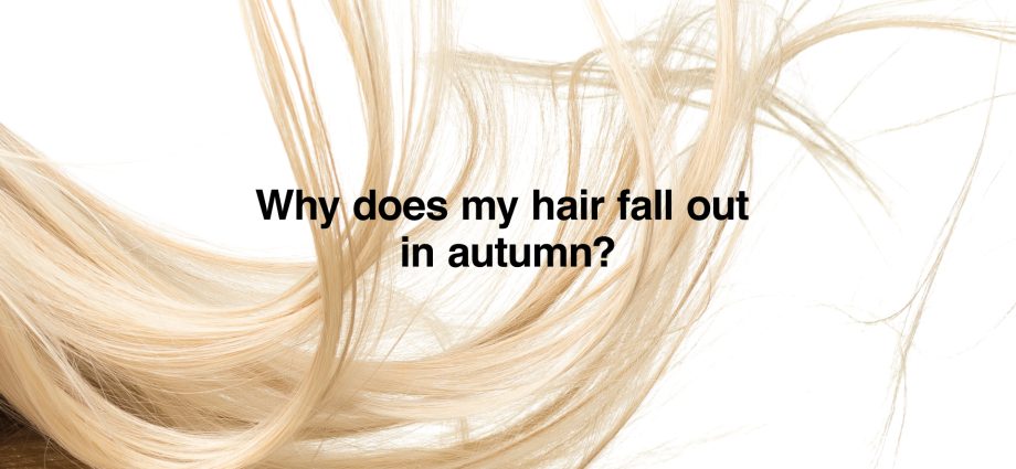 Why does hair fall out in autumn?