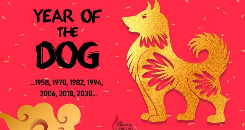 Anul câinelui