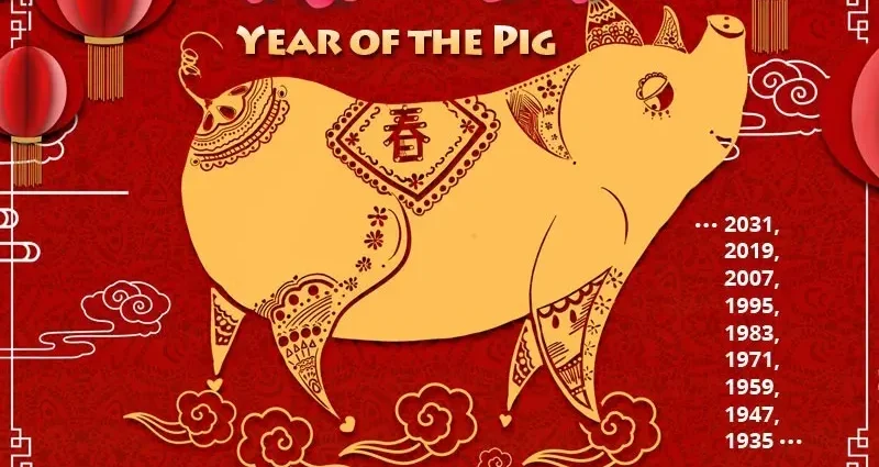 Year of the Pig (Boar)