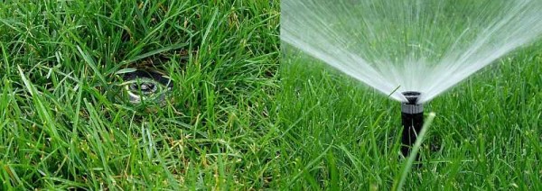 Automatic watering by own hands