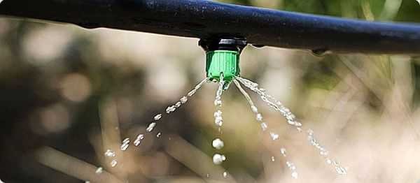 Automatic watering by own hands