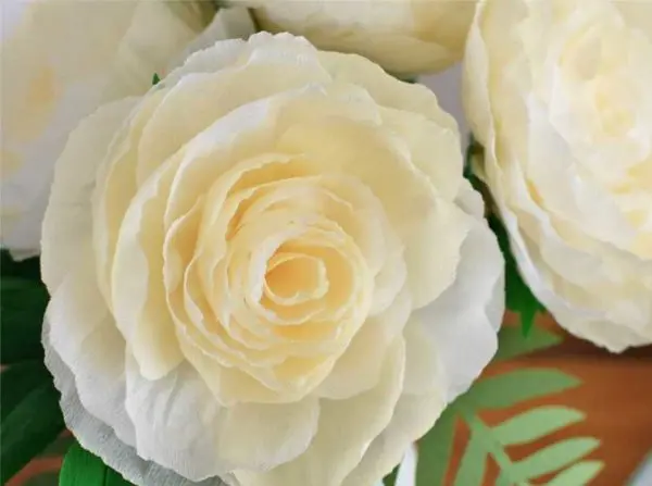 Do-it-yourself corrugated paper flowers: master classes, photos, videos