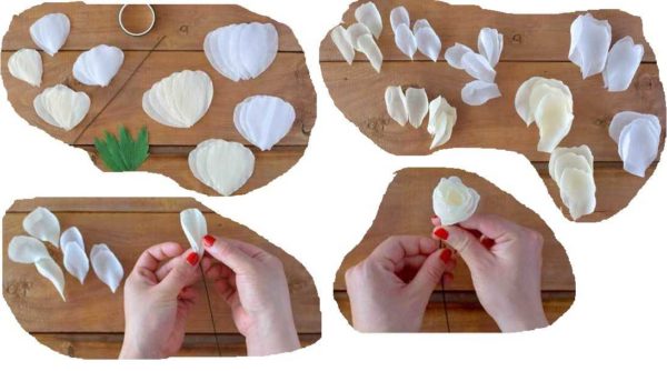 Do-it-yourself corrugated paper flowers: master classes, photos, videos