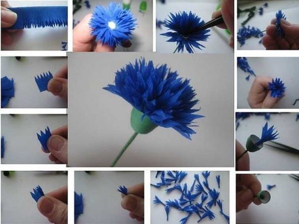 Do-it-yourself corrugated paper flowers: master classes, photos, videos