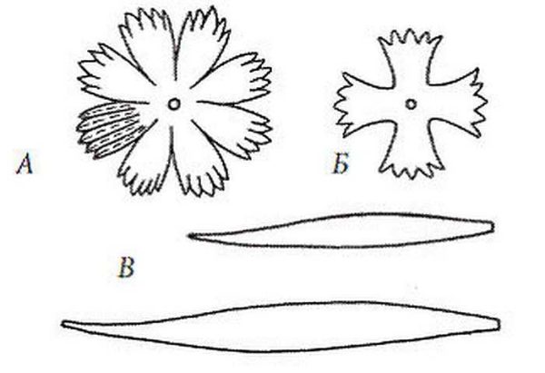 Do-it-yourself corrugated paper flowers: master classes, photos, videos