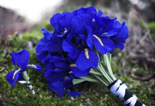 Do-it-yourself corrugated paper flowers: master classes, photos, videos