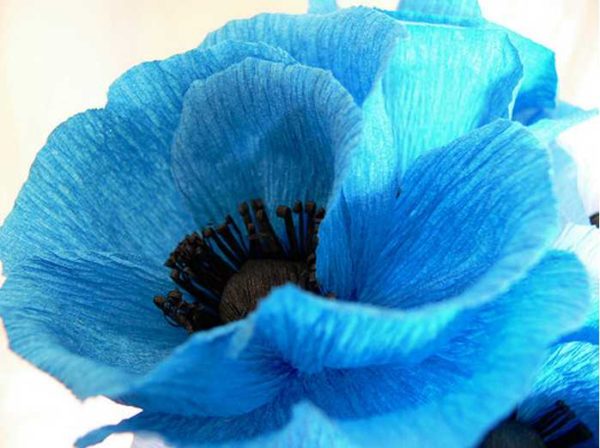 Do-it-yourself corrugated paper flowers: master classes, photos, videos