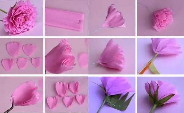 Do-it-yourself corrugated paper flowers: master classes, photos, videos