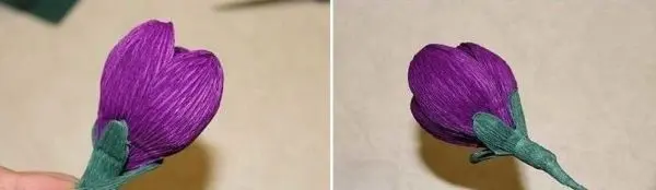 Do-it-yourself corrugated paper flowers: master classes, photos, videos