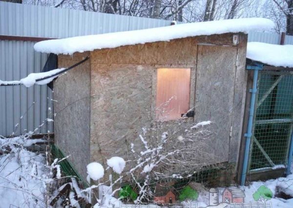 Do-it-yourself winter chicken coop: tips, secrets, photos and videos