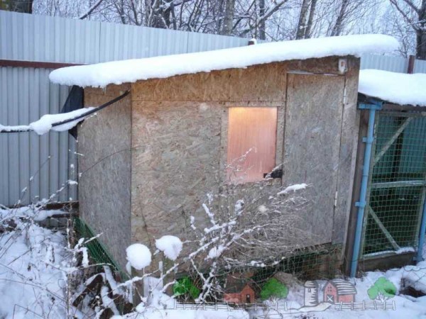 Do-it-yourself winter chicken coop: tips, secrets, photos and videos