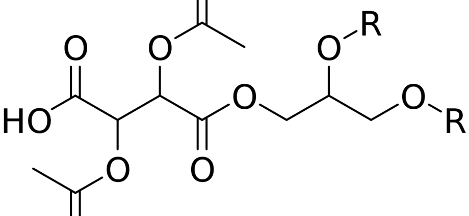 E472 Esters and glycerides of acids