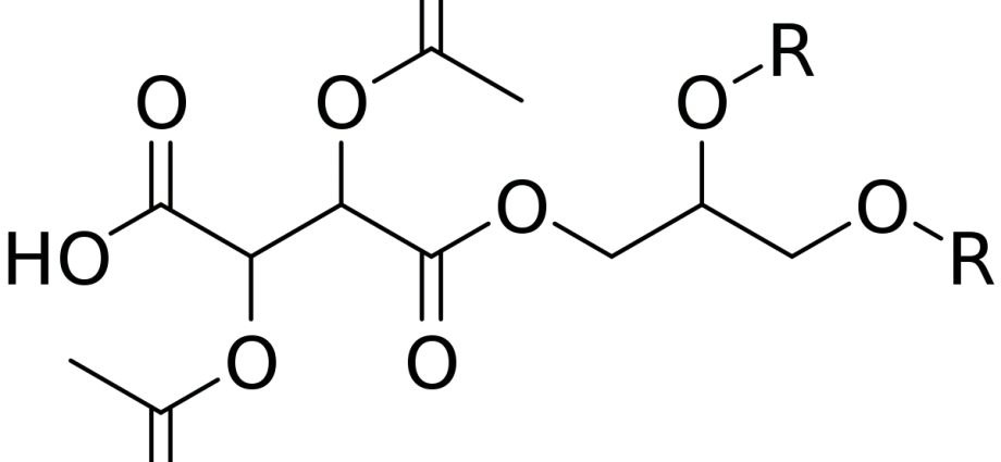 E472 Esters and glycerides of acids