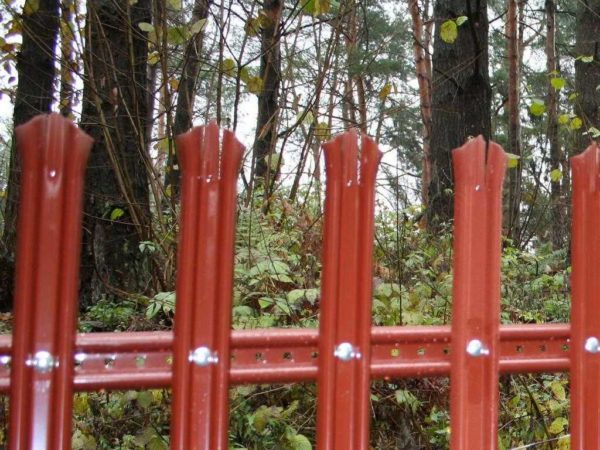 Fence from a metal picket fence: types, installation, photo