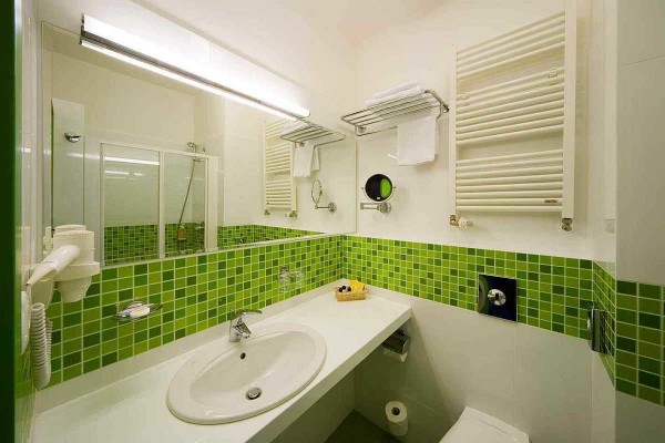 Finishing the bathroom with tiles: photo options, technology 