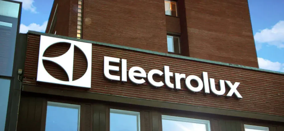 Gas boilers Electrolux: reviews, overview of models, characteristics