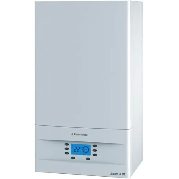 Gas boilers Electrolux: reviews, overview of models, characteristics