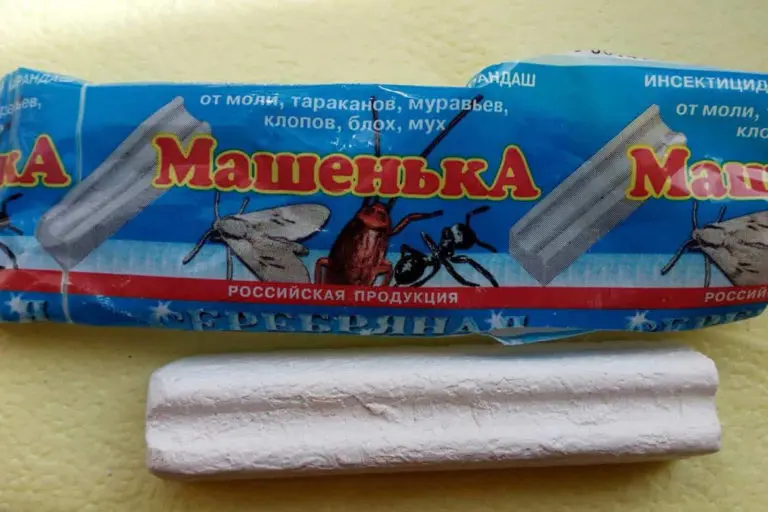 How to get rid of ants in the house and apartment forever on your own