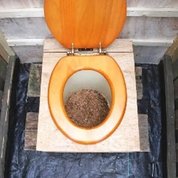 How to get rid of the smell in the country toilet