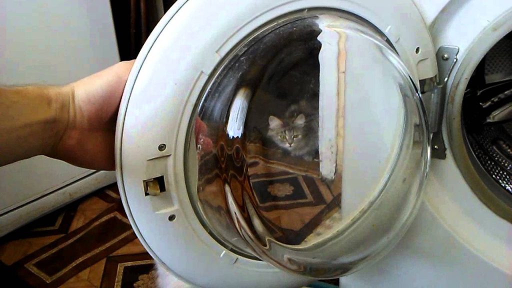 How to replace the handle on the washing machine door yourself