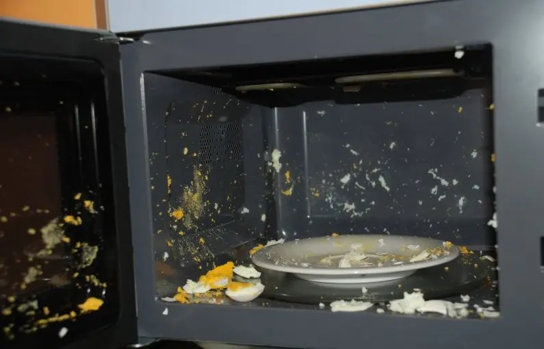 Microwave oven life