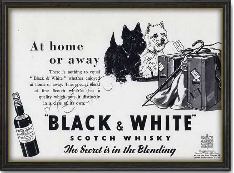 description of whiskey black and white