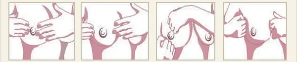 Technique of corrective massage of the female breast, hand position