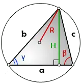 Find the length of the height of a triangle