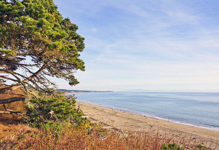 10 Best Beaches in Santa Cruz, CA