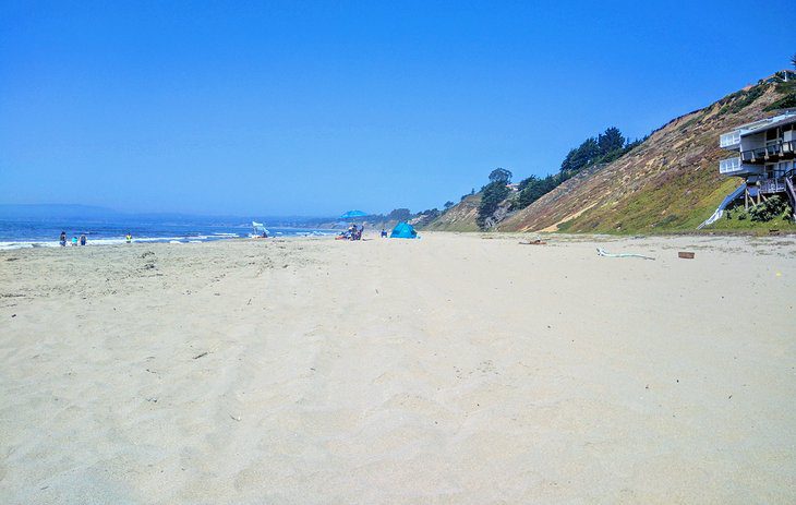 10 Best Beaches in Santa Cruz, CA