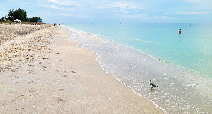 10 Best Beaches in Sarasota