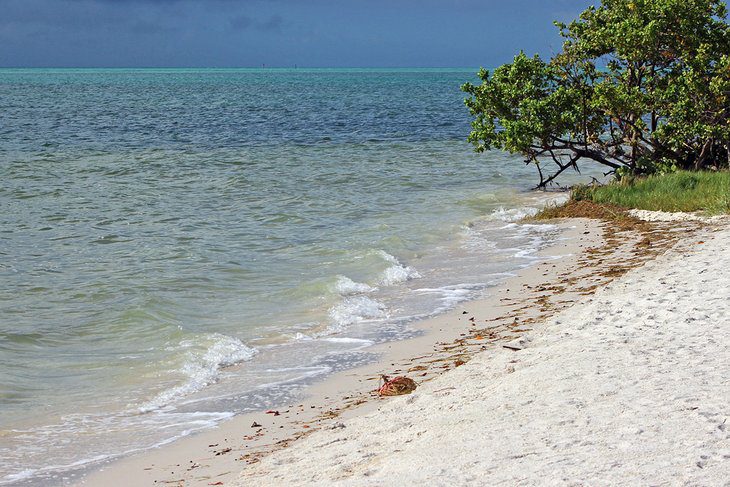 10 Best Beaches in the Florida Keys