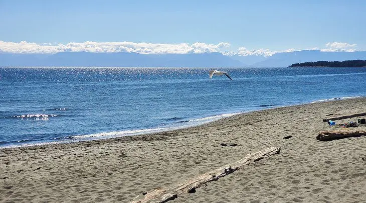 10 Best Beaches in Victoria, BC