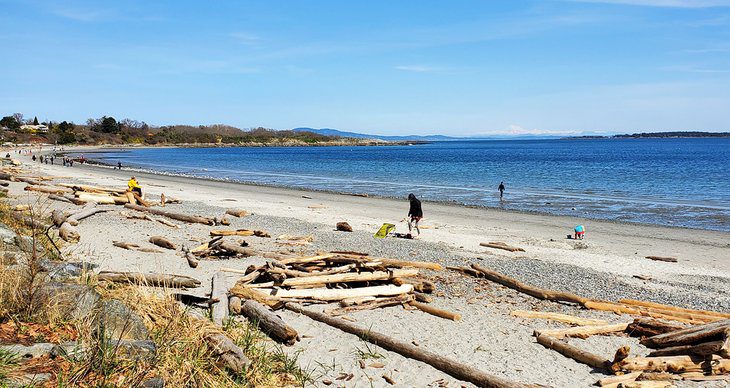 10 Best Beaches in Victoria, BC